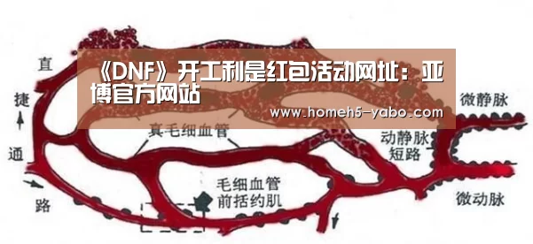 亚博体育